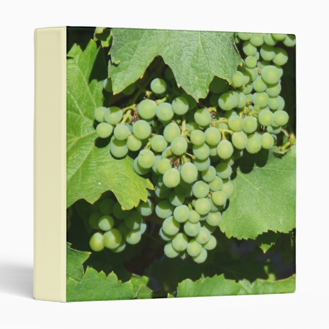 Green grapes on the vine binder (Front/Spine)