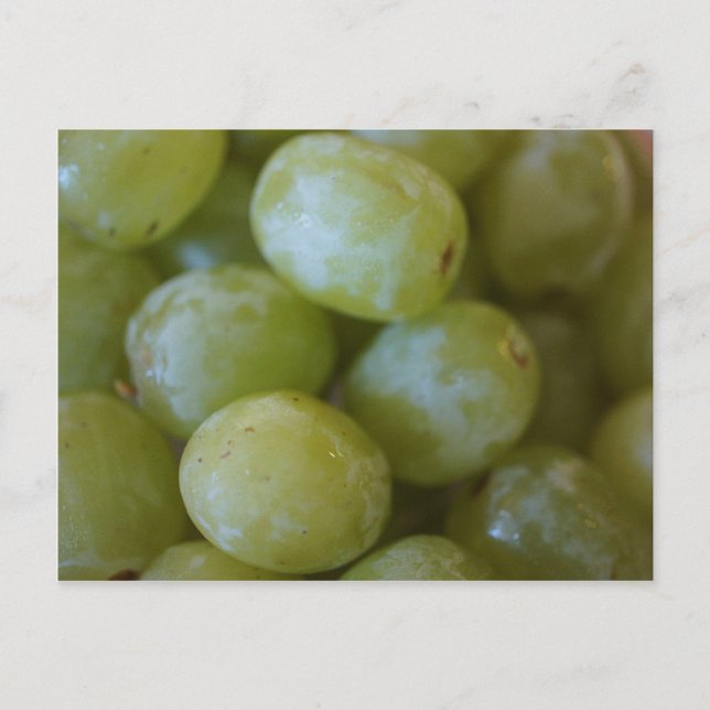 Green Grapes Postcard (Front)