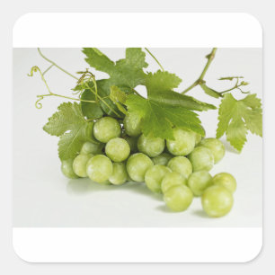 green grapes square sticker