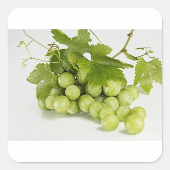 green grapes square sticker (Front)