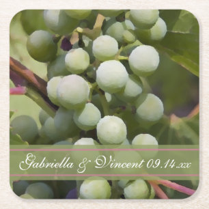 Green Grapes Vineyard Wedding Square Paper Coaster