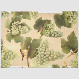Green Grapes With Birds Tissue Paper