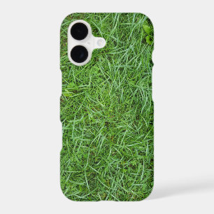 Green Grass