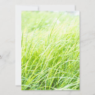 Green grass