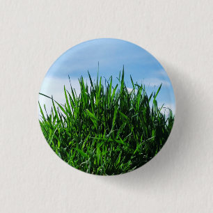 Green grass against the background of the endless 1 inch round button