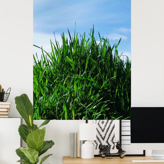 Green grass against the background of the endless  poster (Home Office)
