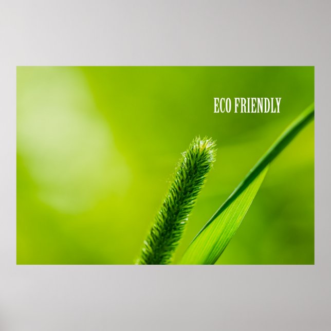 Green Grass And Sun - Eco friendly Poster (Front)