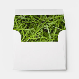 Green Grass Backyard Wedding RSVP Envelopes