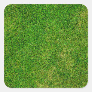 Green Grass Coasters Square Sticker
