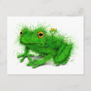 Green Grass Frog Art Postcard