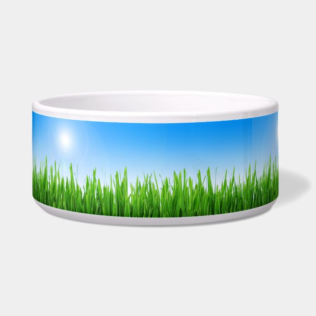 Green Grass Garden with Blue Sky Design (Front)