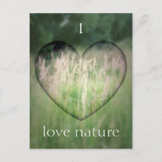 Green Grass Heart Postcard