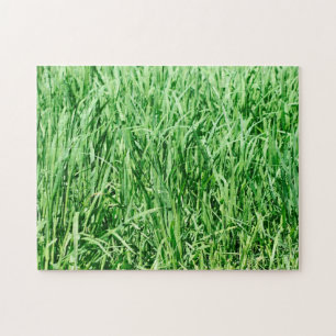 Green Grass Jigsaw Puzzle