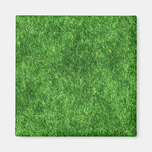 Green Grass Magnet (Front)