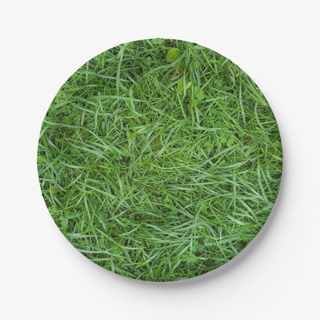 green grass paper plate (Front)