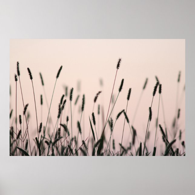 GREEN GRASS POSTER (Front)