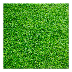Green grass poster