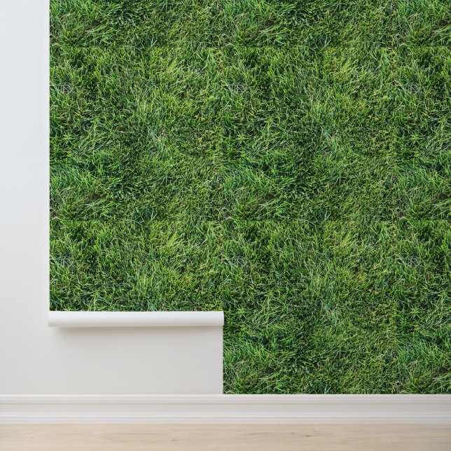 Green grass real photo texture pattern backdrop wallpaper (Application)