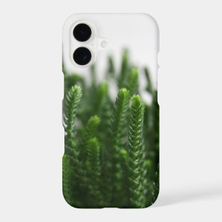 Green Grass Succulent Grass Plant Close-up Photo