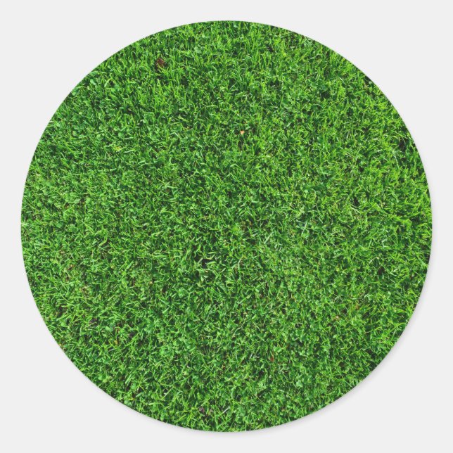 Green Grass Texture Classic Round Sticker (Front)