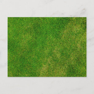 Green Grass Texture Postcard