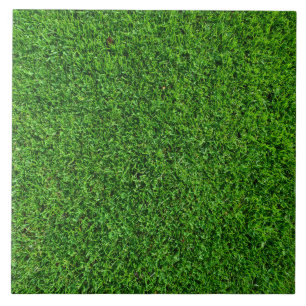 Green Grass Texture Tile