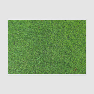 Green Grass Texture Tissue Paper