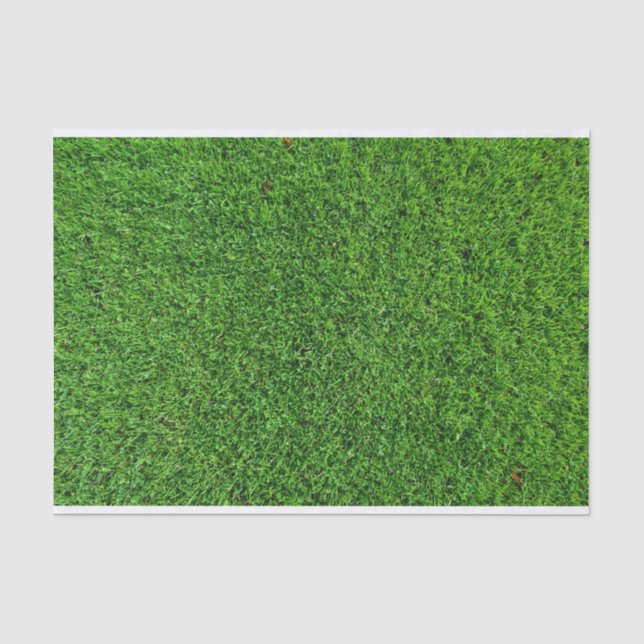 Green Grass Texture Tissue Paper (Front)