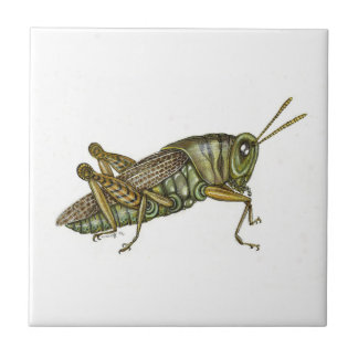 Green Grasshopper Ceramic Tile