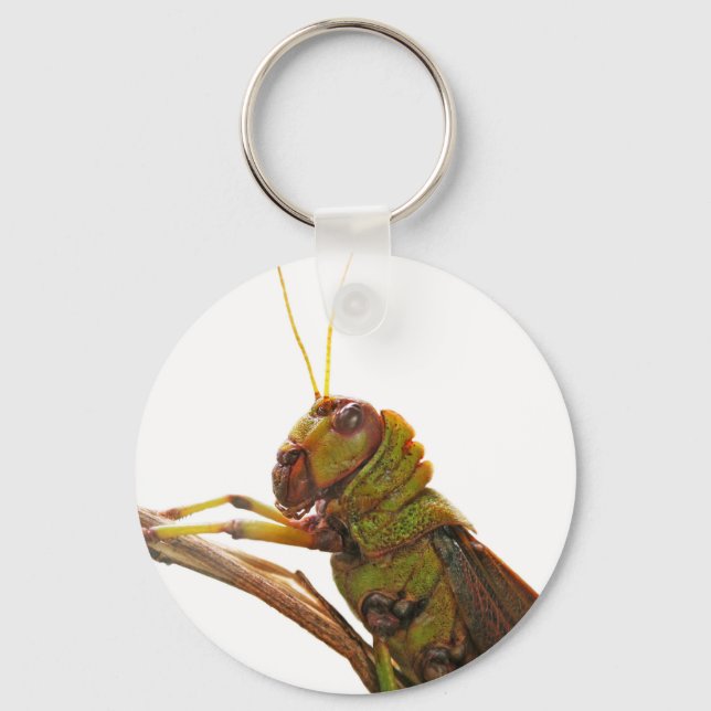 Green Grasshopper close up details Keychain (Front)