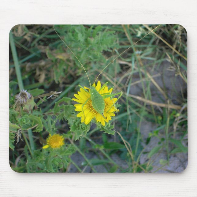Green grasshopper on a yellow flower. mouse pad (Front)
