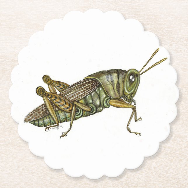 Green Grasshopper Paper Coaster (Front)