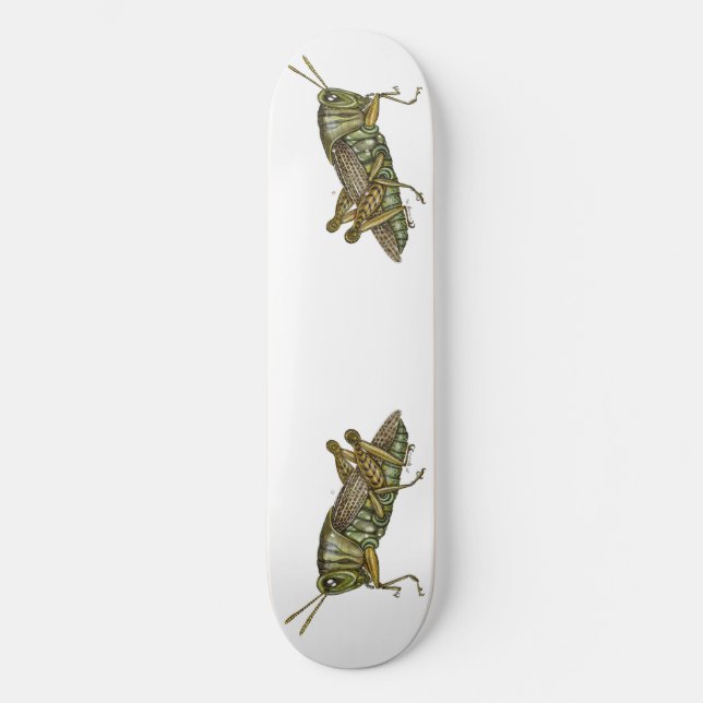Green Grasshopper Skateboard (Front)
