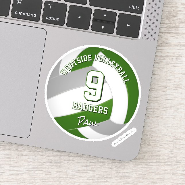 green grey team colours volleyball player (Detail)
