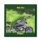 Green Hawaiian Gecko Rider