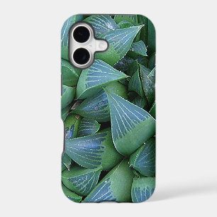 Green Haworth coque iphone Plante succulent