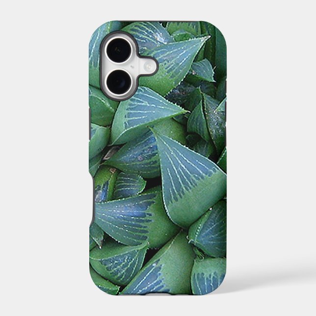Green Haworth coque iphone Plante succulent (Verso)