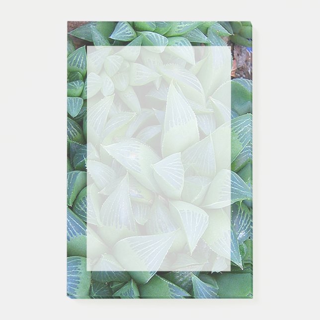 Green Haworthia Succulent Plant Stickies Post-it Notes (Front)