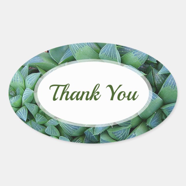 Green Haworthia Succulent Plant Thank You Sticker (Front)