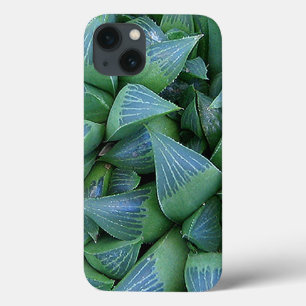 Green Haworthia Succulent Plants iPhone Case
