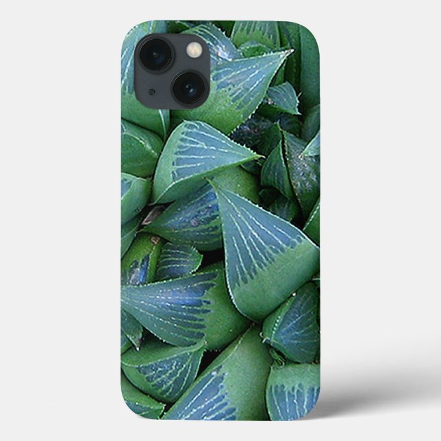 Green Haworthia Succulent Plants iPhone Case (Back)