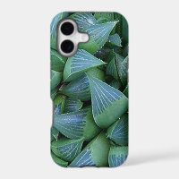 Green Haworthia Succulent Plants iPhone Case