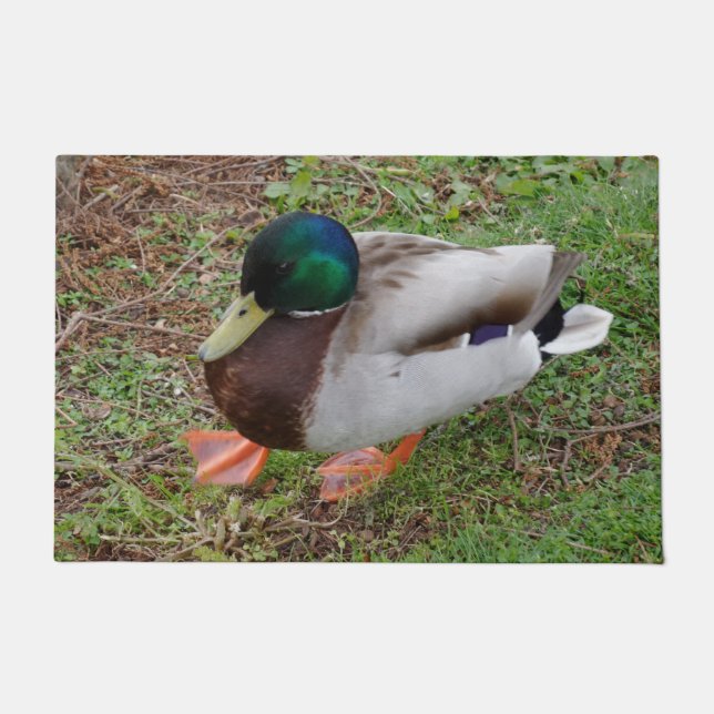 Green Head Duck Door Mat (Front)