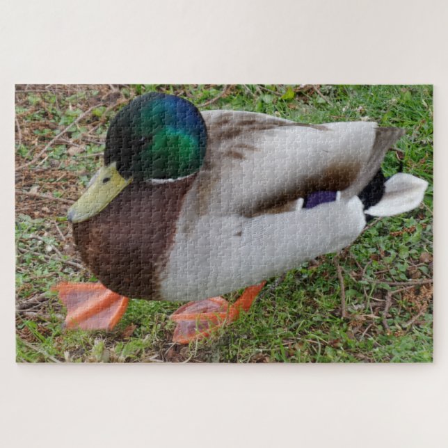 Green Head Duck Jigsaw Puzzle (Horizontal)