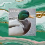 Green Headed Mallard Drake Tile<br><div class="desc">Nature themed ceramic tile featuring the photo image of a green-headed Mallard drake, the male of the duck species. Select your tile size. Makes a great kitchen trivet!</div>
