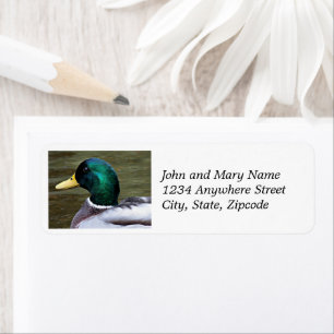 Green Headed Mallard Duck Return Address