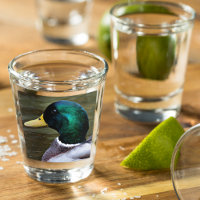 Green Headed Mallard Duck