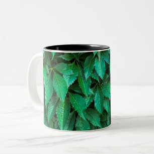 green hedge background parthenocissus pattern text Two-Tone coffee mug