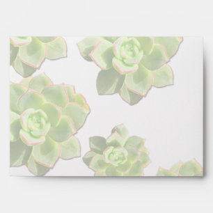 Green Hen and Chicks Succulents Envelopes