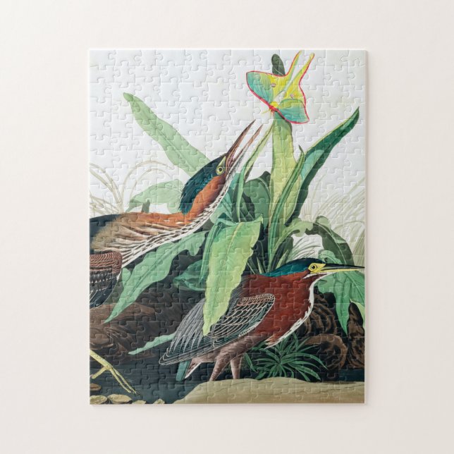 Green Heron by John James Audubon Jigsaw Puzzle (Vertical)